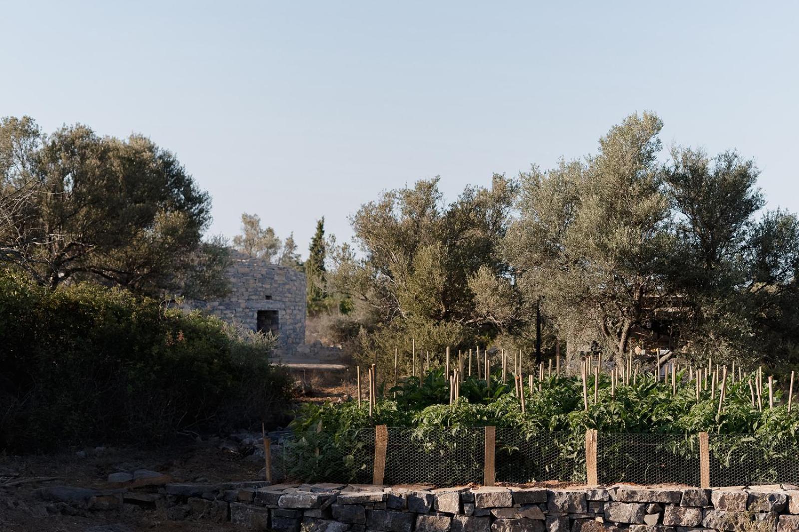 Village Heights Resort Hersonissos  Exterior foto