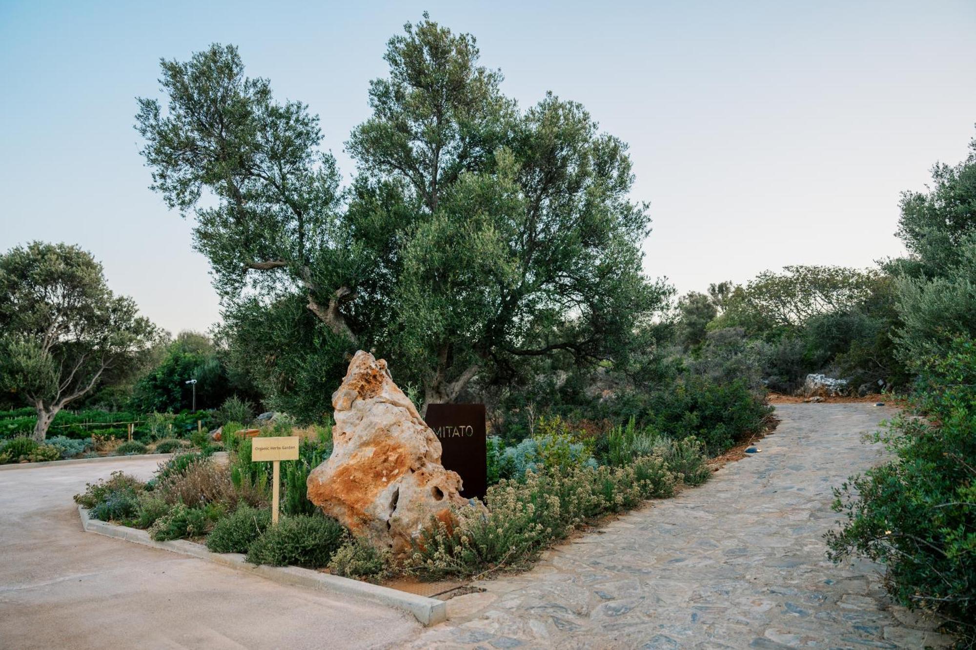 Village Heights Resort Hersonissos  Exterior foto