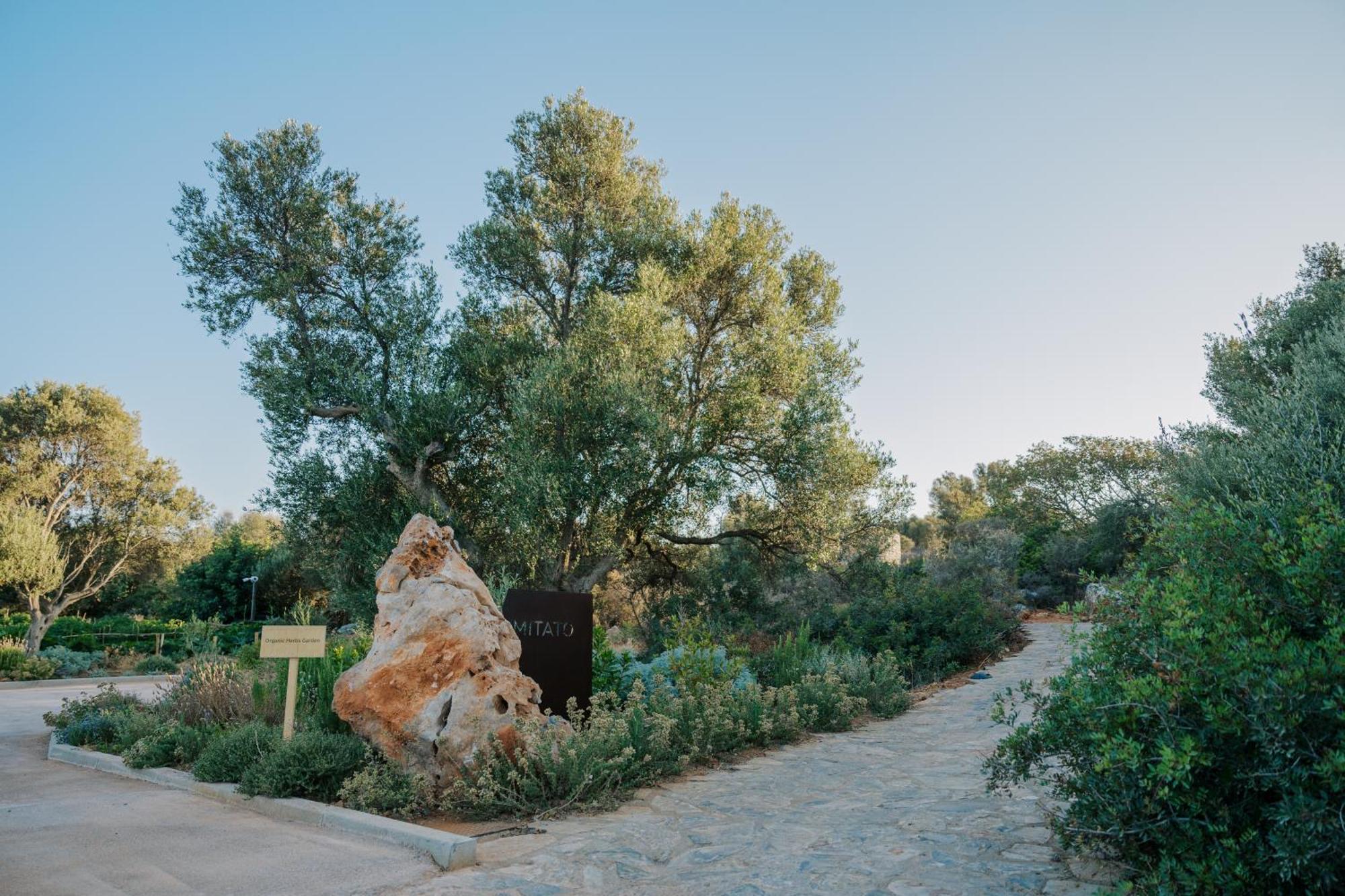 Village Heights Resort Hersonissos  Exterior foto